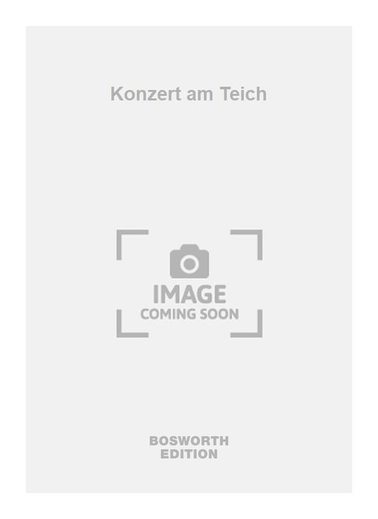 Konzert am Teich